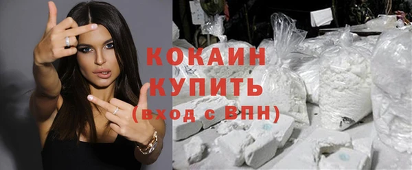 сатива Богданович