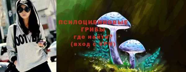 хмурый Богородицк