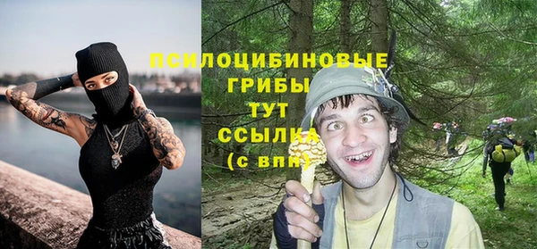 хмурый Богородицк