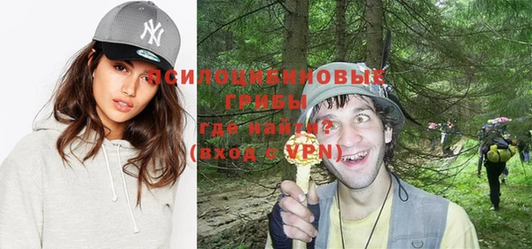 хмурый Богородицк