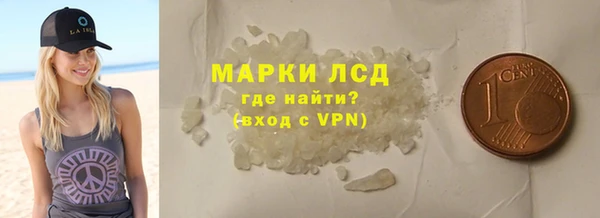 индика Верхний Тагил