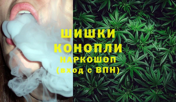 мдпв Богородск