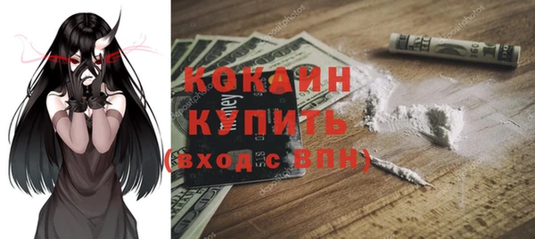 мдпв Богородск