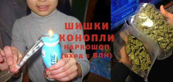 мдпв Богородск