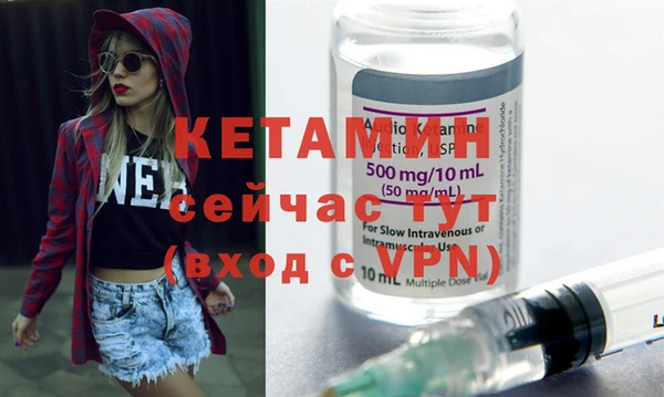 сатива Богданович