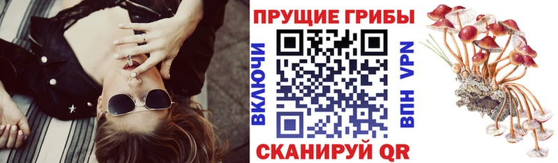 Галлюциногенные грибы прущие грибы  купить  сайты  Дигора 